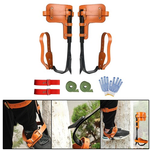 Tree climbing spike straps - tree,