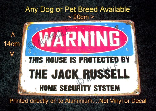 Jack russell warning - russell,