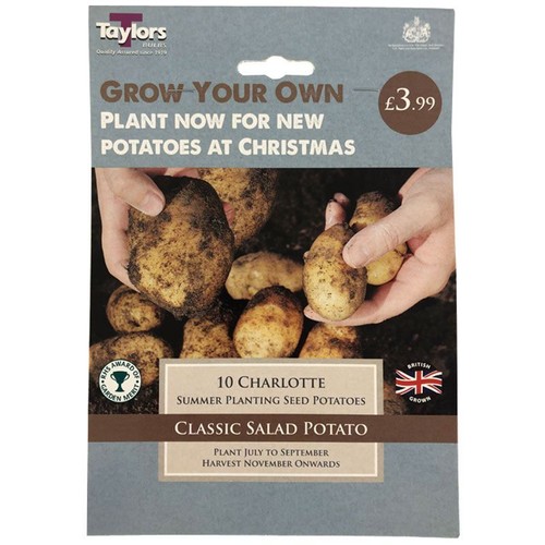 Taylors seed potatoes - ,