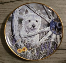 WEST HIGHLAND WHITE TERRIER