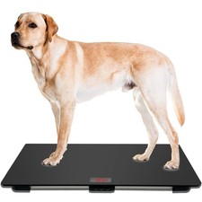 Pet Scale for Large Dogs