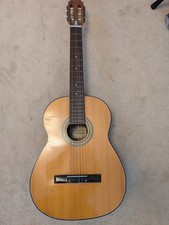 Vintage Woolworth Acoustic