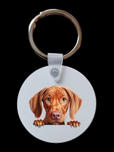 Peeking peeping vizsla dog - peeping,
