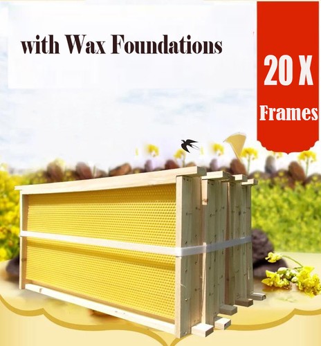 20pcs beehive foundation - 20pcs,