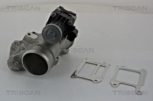 Egr valve triscan - valve, fits