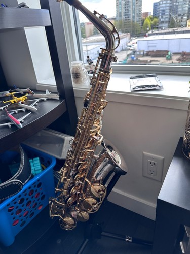 Silver and gold alto - , saxophone