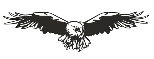 70cm bird prey - 70cm, large