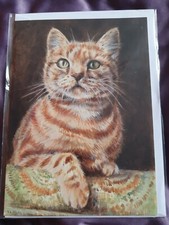Ginger cat greetings card ginger cats birthday card BLANK card kitten kittens 