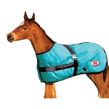 Thermo Master Growing Foal Rug