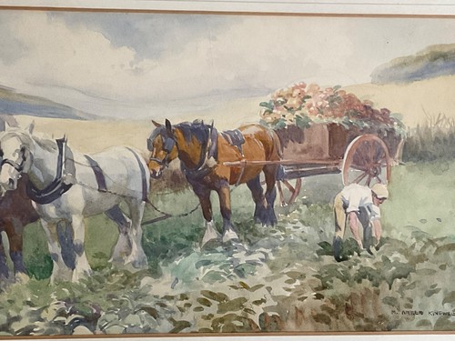 Mabel amber kingwell harvest - kingwell,