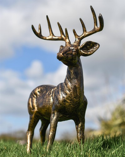 Brushed gold winston stag - brushed,