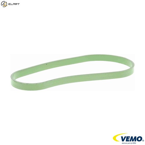 Gasket throttle body - throttle,