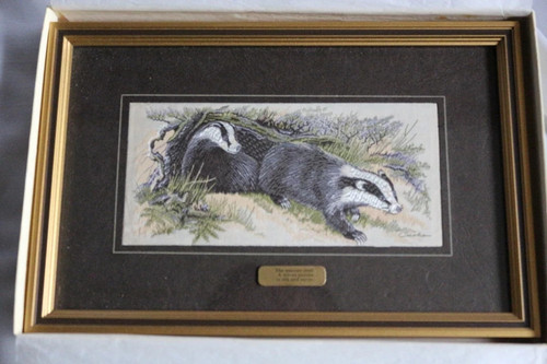 New boxed badgers framed - boxed,