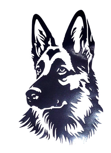 Alsation gsd shepherd - 1x,