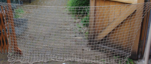 Child safety pet - child, /pet