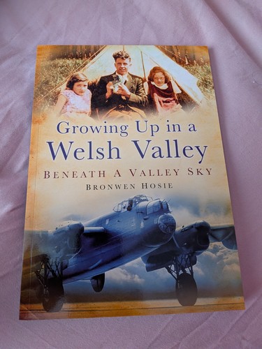 Growing welsh valley - up,