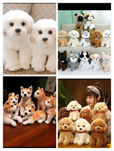 Soft simulation akita dog - simulation,