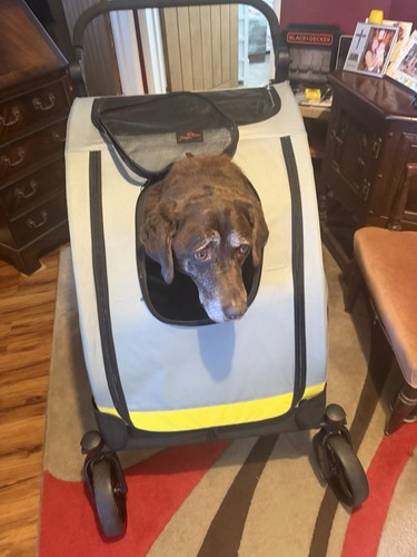Pawhut dog stroller - dog,