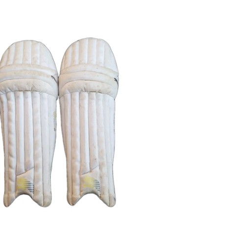 Puma cricket batting - batting, pads(