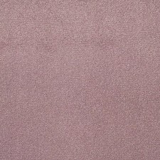 Red Pink Purple Carpet Living