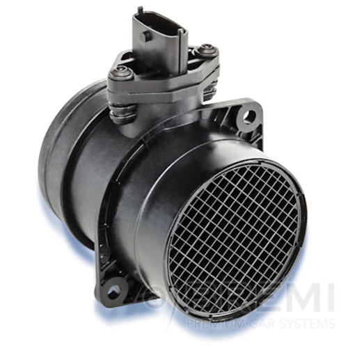 Mass air flow - mass, fits