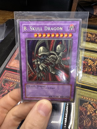 Black skull dragon bpt 006 - skull,