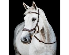 *SALE* Horseware Micklem 2