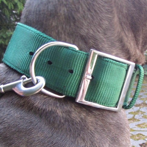 Nylon collar green dogge - nylon,
