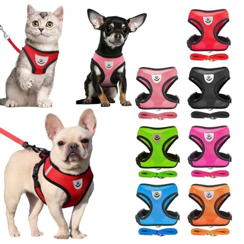 Breathable mesh dog - breathable,