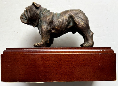 Bulldog high - bulldog, quality