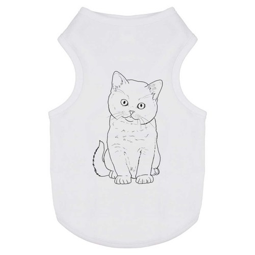 Sitting kitten pet dog - dog, cat