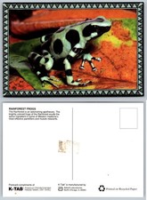 Continental Rainforest Frogs