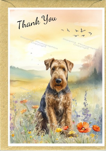 Airedale terrier dog - dog, thank
