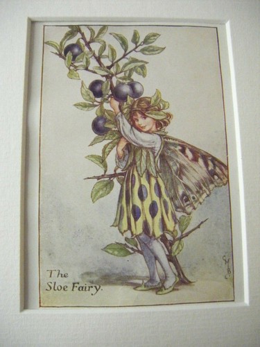 Vintage flower fairies print - flower,
