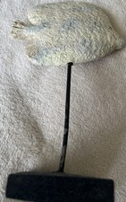 Decorative stone fish