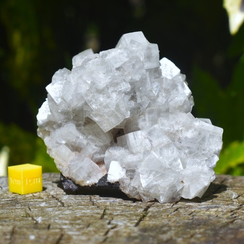 Apophyllite crystal cluster - apophyllite, |