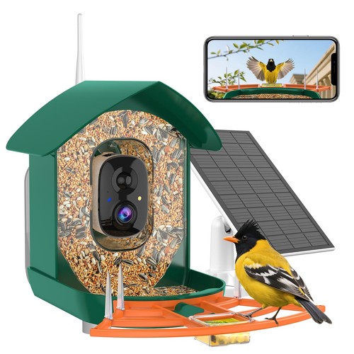 Bird feeder with camera - bird,