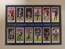 Wycombe Wanderers Art Print