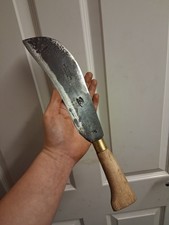 Cornelius Whitehouse Hedgehog