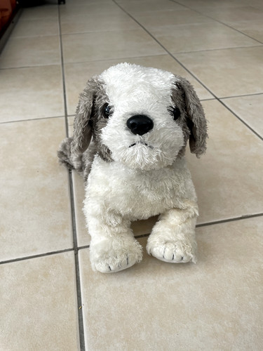 Dog puppy plush - puppy, grey