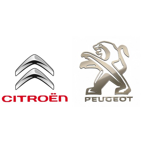 Citroen peugeot connect - citroen,