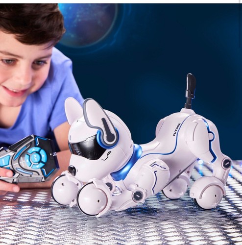 Ziggy the robo dog kids - robo,