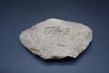 Native American Woodland period Chert/Hand Axe, 1000 BC - 1000 AD