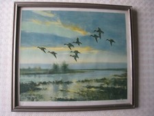 Sir peter scott signed ltd - sir, a
