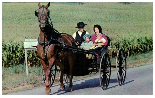 Dutch maid drive amish - dutch,