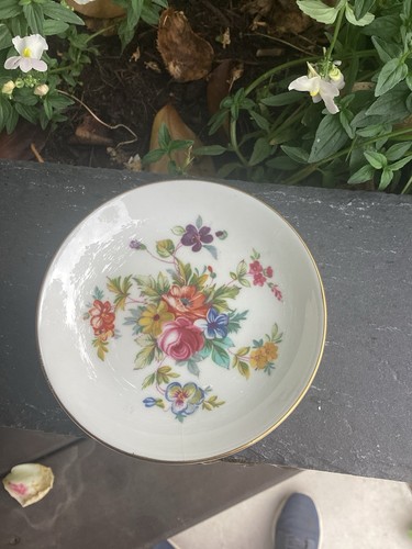 This vintage minton - this, a