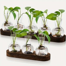 Plant propagation station - plant,