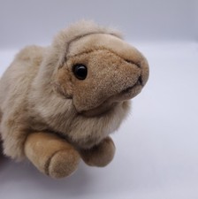 Baby Camel Plush Soft Toy 12"