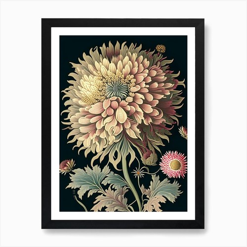 Chrysanthemum floral - 3,