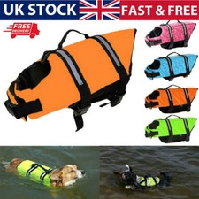Dog life jacket safety - dog,